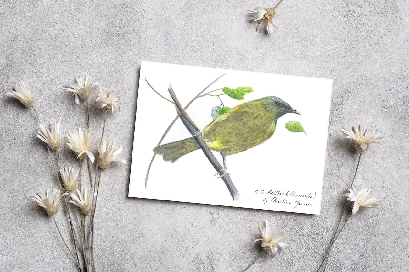 This card features a detailed print of my original New Zealand Bellbird painting. This card features a detailed print of my original New Zealand Bellbird painting.