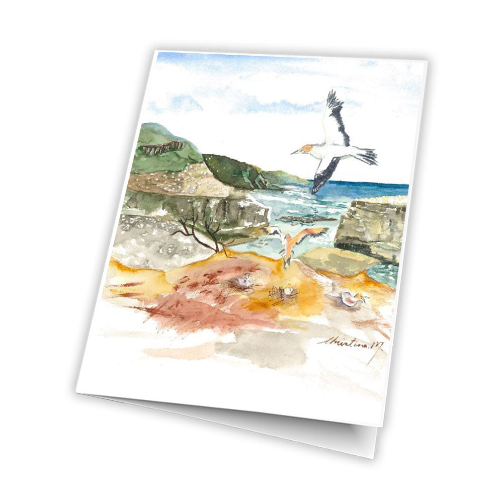 Gannets at Muarawai  greetings card, blank inside.