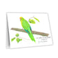 Featuring a detailed print of my original New Zealand Parakeet drawing, this greeting card captures the charm of one of Aotearoa’s most beloved native birds.