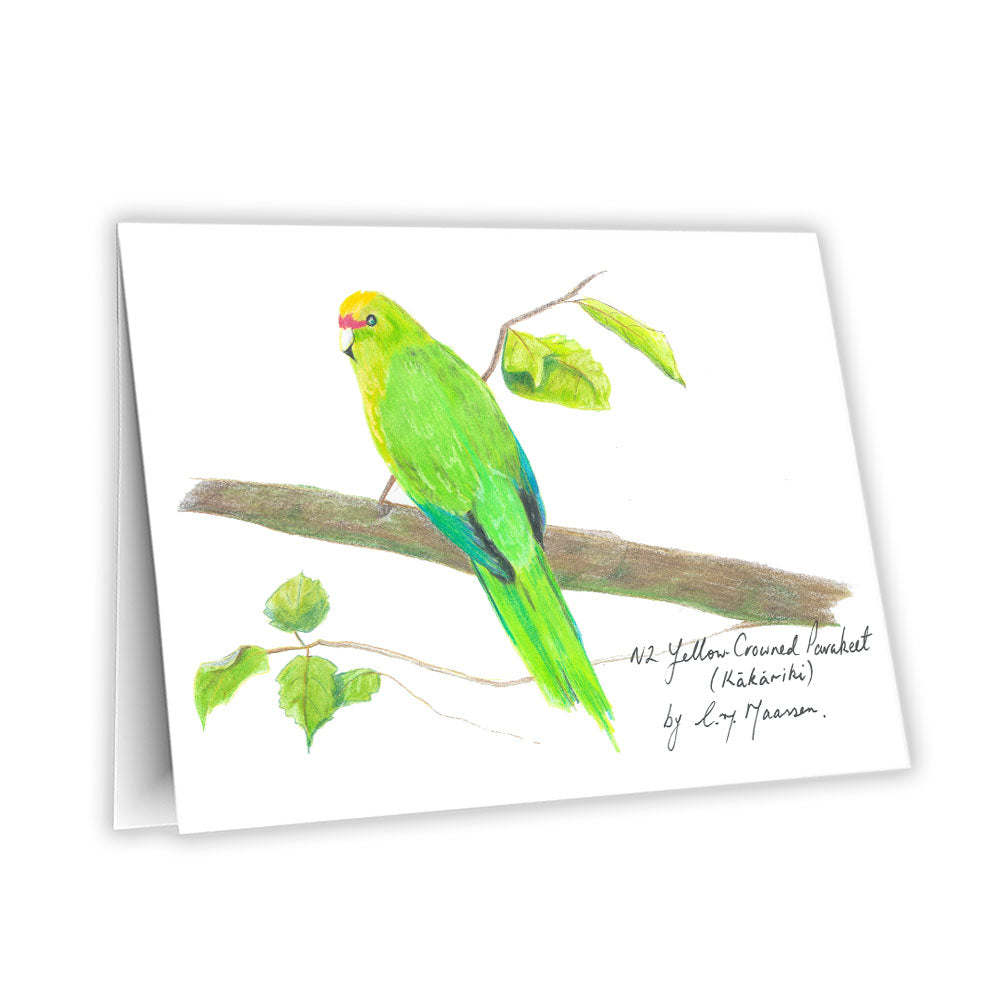 Featuring a detailed print of my original New Zealand Parakeet drawing, this greeting card captures the charm of one of Aotearoa’s most beloved native birds.