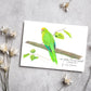 Featuring a detailed print of my original New Zealand Parakeet drawing, this greeting card captures the charm of one of Aotearoa’s most beloved native birds.