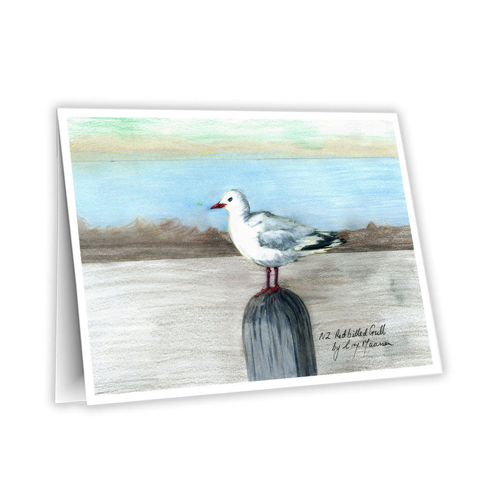 Featuring a detailed print of my original New Zealand Red Billed Gull drawing, this greeting card captures the charm of one of Aotearoa’s native birds.